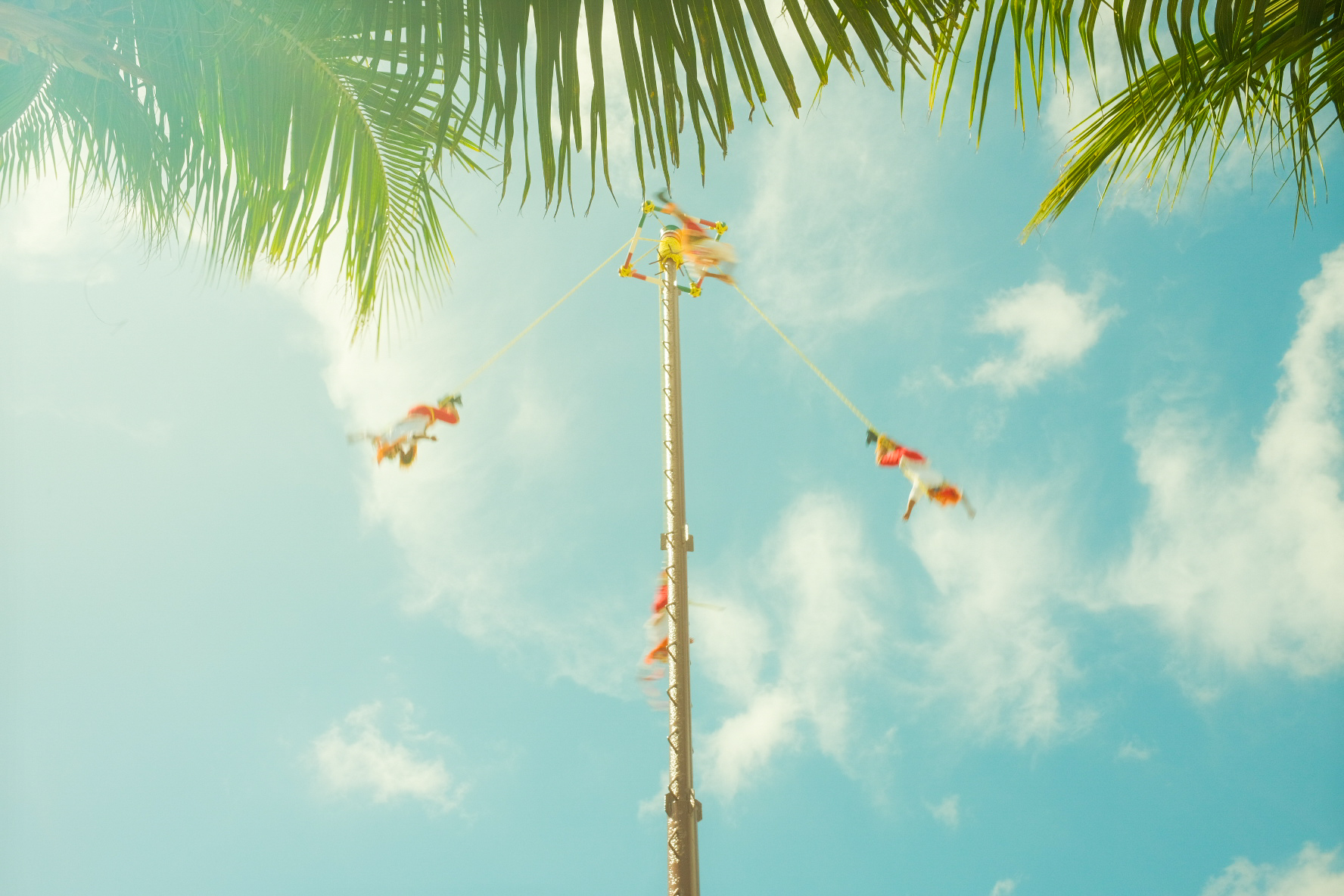 Maxwell Purwin Photography