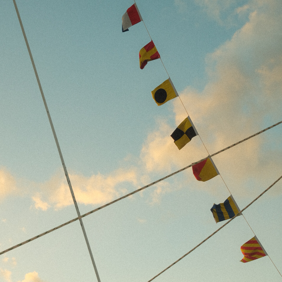 Maxwell Purwin Photography