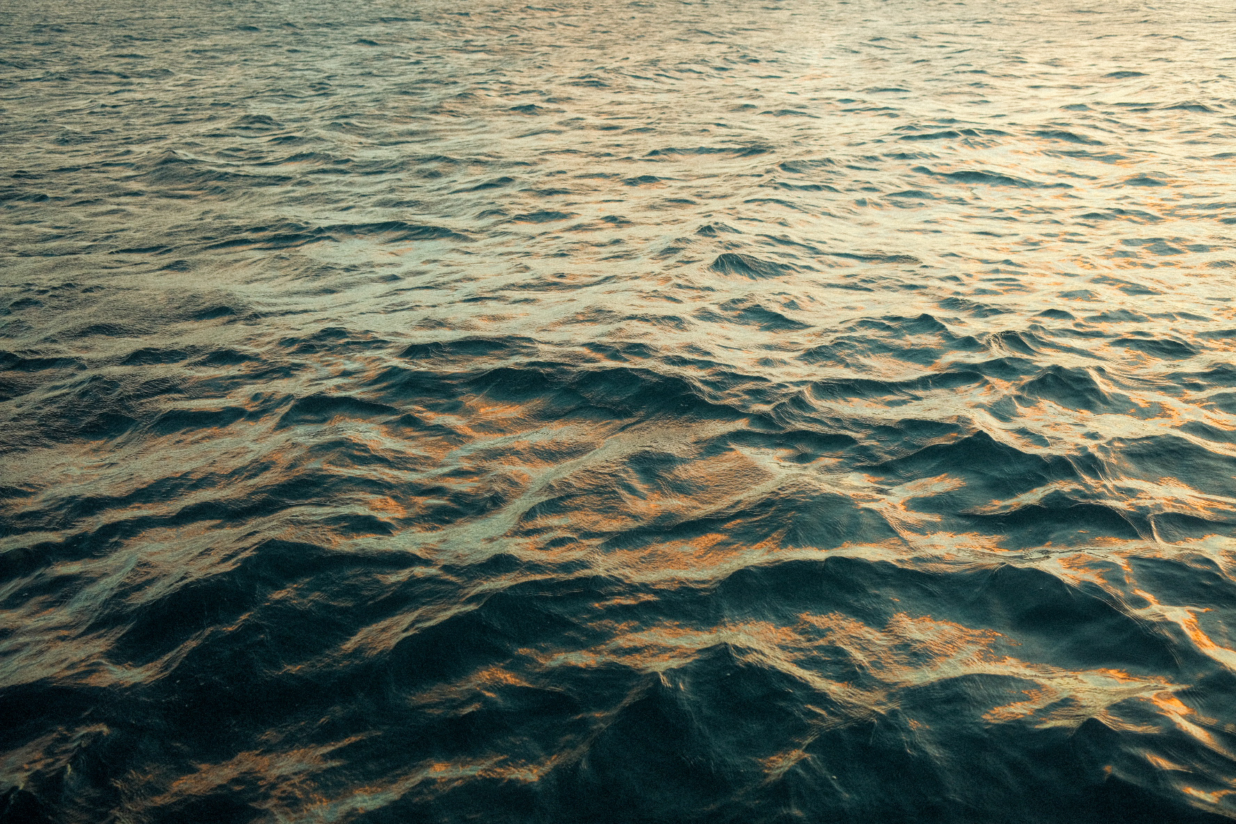Maxwell Purwin Photography